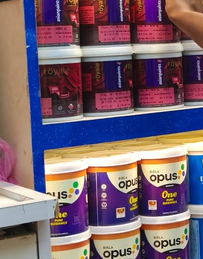 Real Birla Opus One product photo in Islamia Paints store